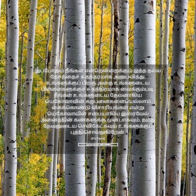 Picture 05 - 1 நாளாகமம் 28:8 TAMIRV - இப்போதும் நீங்கள் - Bible Verse Picture