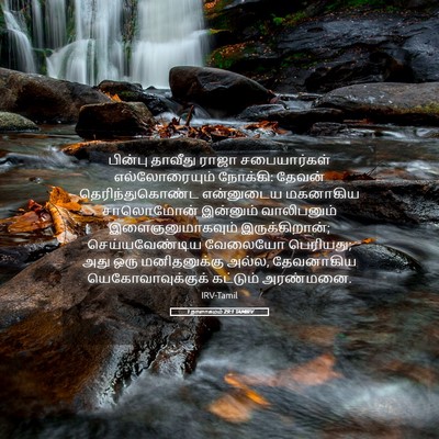 Picture 05 - 1 நாளாகமம் 29:1 TAMIRV - பின்பு தாவீது - Bible Verse Picture