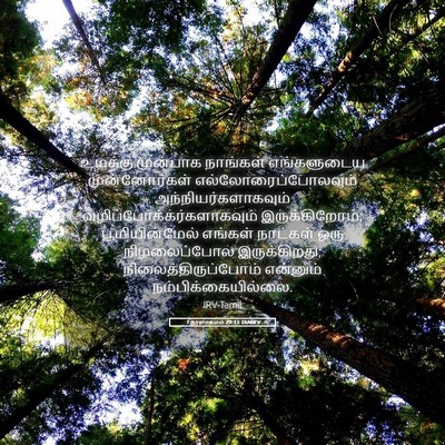 Picture 05 - 1 நாளாகமம் 29:15 TAMIRV - உமக்கு முன்பாக - Bible Verse Picture