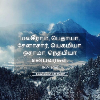 Picture 05 - 1 நாளாகமம் 3:18 TAMIRV - மல்கீராம், பெதாயா, - Bible Verse Picture