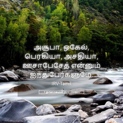 Picture 05 - 1 நாளாகமம் 3:20 TAMIRV - அசூபா, ஒகேல், - Bible Verse Picture