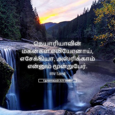 Picture 05 - 1 நாளாகமம் 3:23 TAMIRV - நெயாரியாவின் - Bible Verse Picture