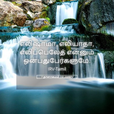 Picture 05 - 1 நாளாகமம் 3:8 TAMIRV - எலிஷாமா, எலியாதா, - Bible Verse Picture