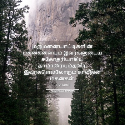 Picture 05 - 1 நாளாகமம் 3:9 TAMIRV -  - Bible Verse Picture