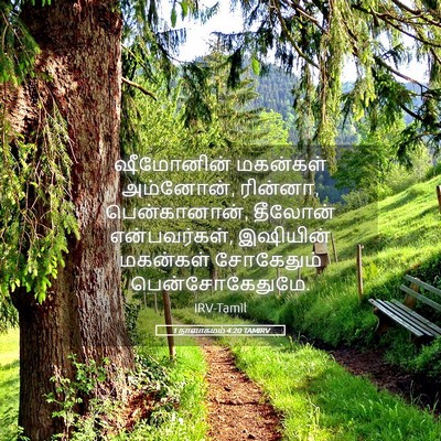 Picture 05 - 1 நாளாகமம் 4:20 TAMIRV - ஷீமோனின் மகன்கள் - Bible Verse Picture