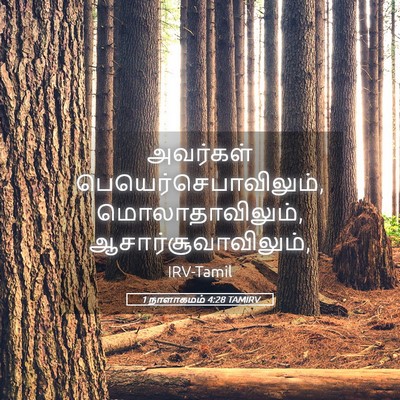 Picture 05 - 1 நாளாகமம் 4:28 TAMIRV - அவர்கள் - Bible Verse Picture