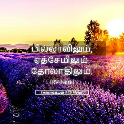 Picture 05 - 1 நாளாகமம் 4:29 TAMIRV - பில்லாவிலும், - Bible Verse Picture