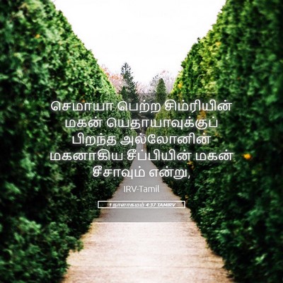 Picture 05 - 1 நாளாகமம் 4:37 TAMIRV - செமாயா பெற்ற - Bible Verse Picture