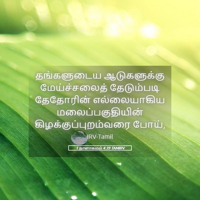 Picture 05 - 1 நாளாகமம் 4:39 TAMIRV - தங்களுடைய - Bible Verse Picture