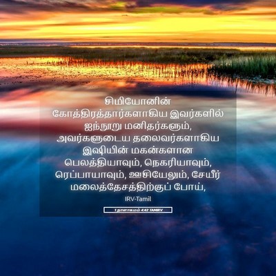 Picture 05 - 1 நாளாகமம் 4:42 TAMIRV - சிமியோனின் - Bible Verse Picture