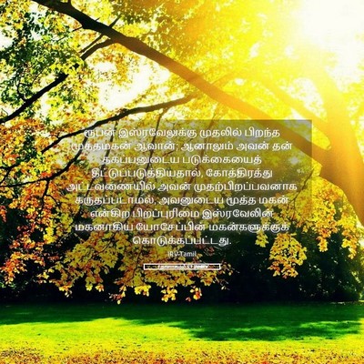Picture 05 - 1 நாளாகமம் 5:1 TAMIRV - ரூபன் - Bible Verse Picture