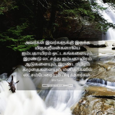 Picture 05 - 1 நாளாகமம் 5:21 TAMIRV - அவர்கள் - Bible Verse Picture