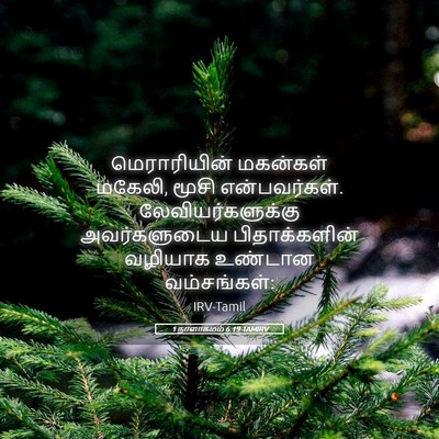 Picture 05 - 1 நாளாகமம் 6:19 TAMIRV - மெராரியின் - Bible Verse Picture