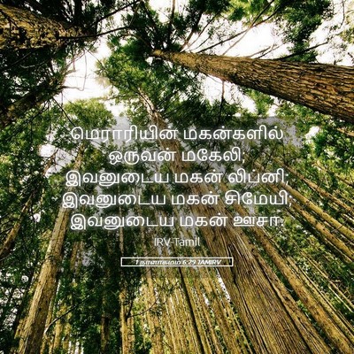 Picture 05 - 1 நாளாகமம் 6:29 TAMIRV - மெராரியின் - Bible Verse Picture