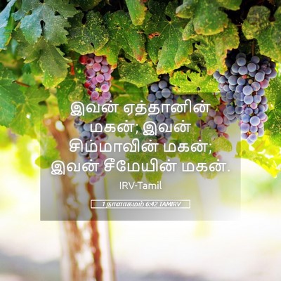Picture 05 - 1 நாளாகமம் 6:42 TAMIRV - இவன் ஏத்தானின் - Bible Verse Picture
