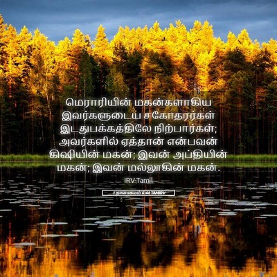 Picture 05 - 1 நாளாகமம் 6:44 TAMIRV - மெராரியின் - Bible Verse Picture