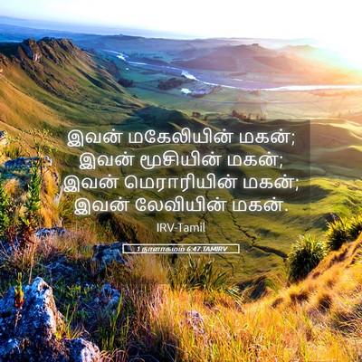 Picture 05 - 1 நாளாகமம் 6:47 TAMIRV - இவன் மகேலியின் - Bible Verse Picture