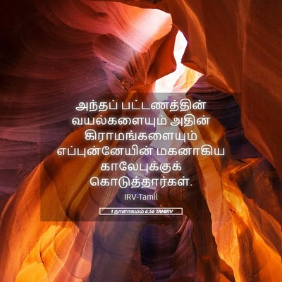 Picture 05 - 1 நாளாகமம் 6:56 TAMIRV - அந்தப் - Bible Verse Picture
