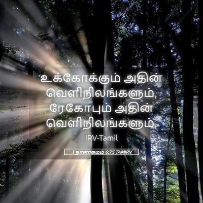 Picture 05 - 1 நாளாகமம் 6:75 TAMIRV - உக்கோக்கும் அதின் - Bible Verse Picture
