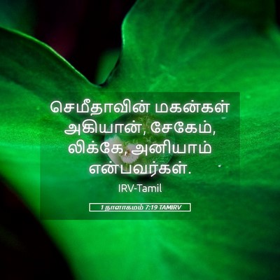 Picture 05 - 1 நாளாகமம் 7:19 TAMIRV - செமீதாவின் - Bible Verse Picture
