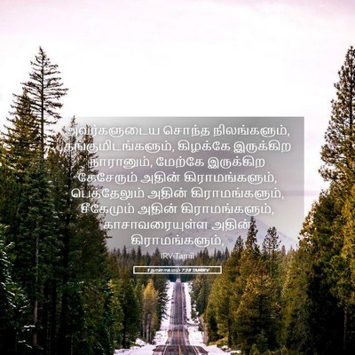Picture 05 - 1 நாளாகமம் 7:28 TAMIRV - அவர்களுடைய சொந்த - Bible Verse Picture