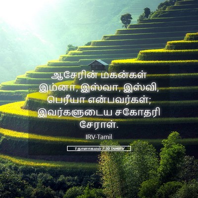 Picture 05 - 1 நாளாகமம் 7:30 TAMIRV - ஆசேரின் மகன்கள் - Bible Verse Picture