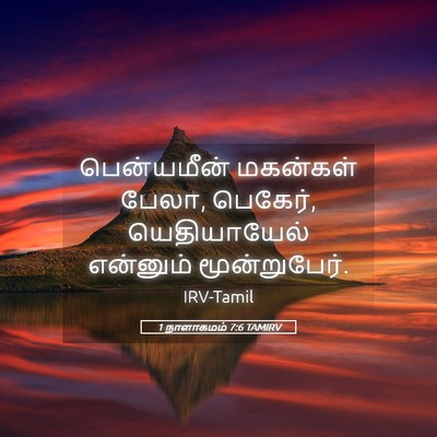 Picture 05 - 1 நாளாகமம் 7:6 TAMIRV - பென்யமீன் மகன்கள் - Bible Verse Picture
