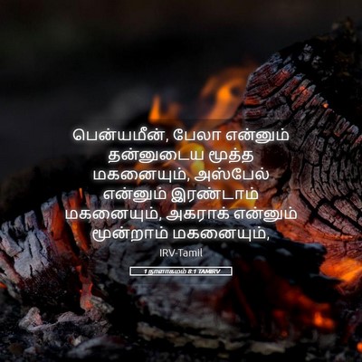 Picture 05 - 1 நாளாகமம் 8:1 TAMIRV - பென்யமீன், பேலா - Bible Verse Picture