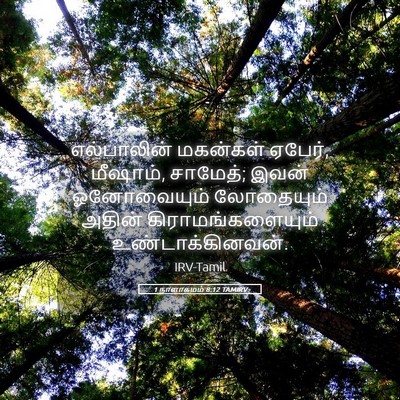 Picture 05 - 1 நாளாகமம் 8:12 TAMIRV - எல்பாலின் மகன்கள் - Bible Verse Picture
