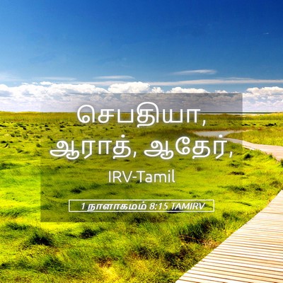 Picture 05 - 1 நாளாகமம் 8:15 TAMIRV - செபதியா, ஆராத், - Bible Verse Picture