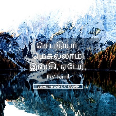 Picture 05 - 1 நாளாகமம் 8:17 TAMIRV - செபதியா, - Bible Verse Picture