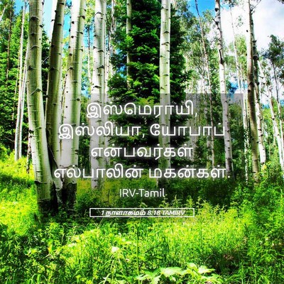 Picture 05 - 1 நாளாகமம் 8:18 TAMIRV - இஸ்மெராயி, - Bible Verse Picture