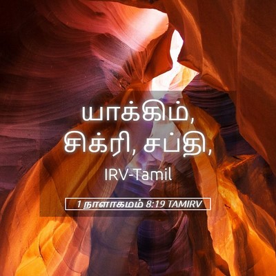 Picture 05 - 1 நாளாகமம் 8:19 TAMIRV - யாக்கிம், சிக்ரி, - Bible Verse Picture
