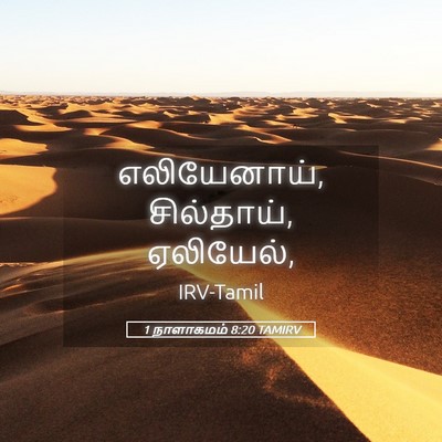 Picture 05 - 1 நாளாகமம் 8:20 TAMIRV - எலியேனாய், - Bible Verse Picture