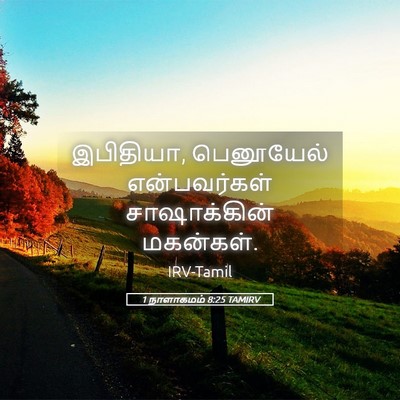 Picture 05 - 1 நாளாகமம் 8:25 TAMIRV - இபிதியா, பெனூயேல் - Bible Verse Picture