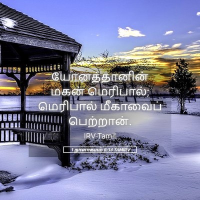 Picture 05 - 1 நாளாகமம் 8:34 TAMIRV - யோனத்தானின் மகன் - Bible Verse Picture