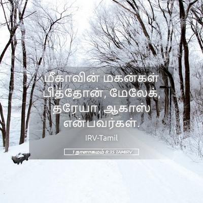 Picture 05 - 1 நாளாகமம் 8:35 TAMIRV - மீகாவின் மகன்கள் - Bible Verse Picture