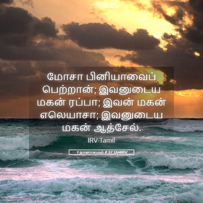 Picture 05 - 1 நாளாகமம் 8:37 TAMIRV - மோசா பினியாவைப் - Bible Verse Picture