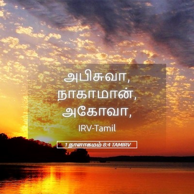 Picture 05 - 1 நாளாகமம் 8:4 TAMIRV - அபிசுவா, நாகாமான், - Bible Verse Picture