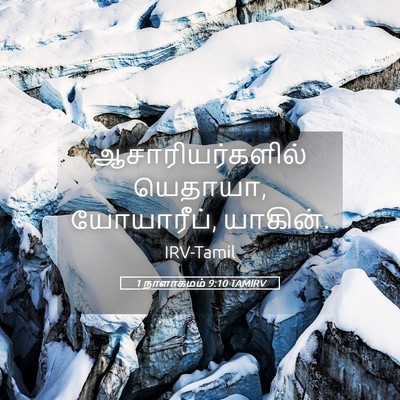 Picture 05 - 1 நாளாகமம் 9:10 TAMIRV - ஆசாரியர்களில் - Bible Verse Picture