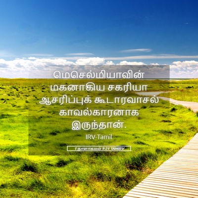 Picture 05 - 1 நாளாகமம் 9:21 TAMIRV - மெசெல்மியாவின் - Bible Verse Picture