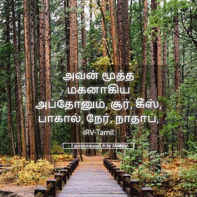 Picture 05 - 1 நாளாகமம் 9:36 TAMIRV - அவன் மூத்த - Bible Verse Picture
