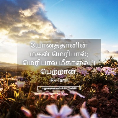 Picture 05 - 1 நாளாகமம் 9:40 TAMIRV - யோனத்தானின் மகன் - Bible Verse Picture