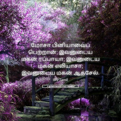 Picture 05 - 1 நாளாகமம் 9:43 TAMIRV - மோசா பினியாவைப் - Bible Verse Picture