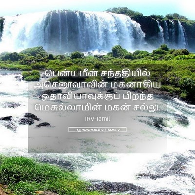 Picture 05 - 1 நாளாகமம் 9:7 TAMIRV - பென்யமீன் - Bible Verse Picture