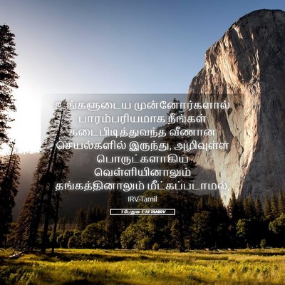 Picture 05 - 1 பேதுரு 1:18 TAMIRV - உங்களுடைய - Bible Verse Picture