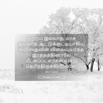 Picture 05 - 1 பேதுரு 1:19 TAMIRV - குற்றம் இல்லாத, - Bible Verse Picture