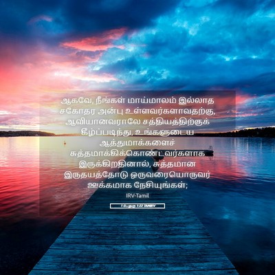 Picture 05 - 1 பேதுரு 1:22 TAMIRV - ஆகவே, நீங்கள் - Bible Verse Picture