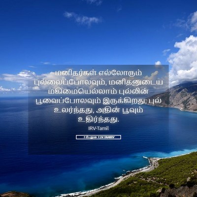 Picture 05 - 1 பேதுரு 1:24 TAMIRV - மனிதர்கள் - Bible Verse Picture