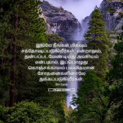 Picture 05 - 1 பேதுரு 1:6 TAMIRV - இதிலே நீங்கள் - Bible Verse Picture